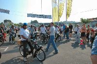 cliquez ici pour voir l'image (DSC_0460.JPG)