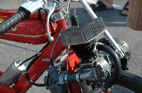 cliquez ici pour voir l'image (DSC_0485.JPG)