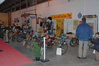 cliquez ici pour voir l'image (DSC_5456.JPG)