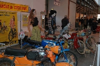 cliquez ici pour voir l'image (DSC_5474.JPG)