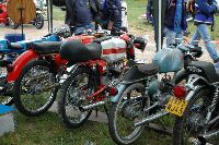 cliquez ici pour voir l'image (DSC_0010.JPG)