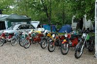 cliquez ici pour voir l'image (DSC_0040.JPG)