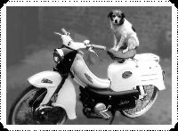 cliquez ici pour voir l'image (58MonK.jpg)