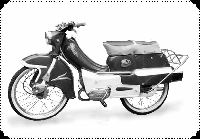 cliquez ici pour voir l'image (59irisK.jpg)